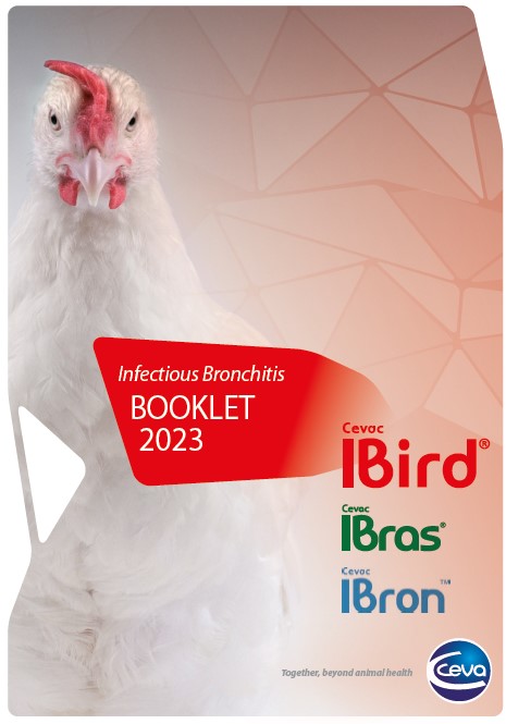COVER_IBird_BOOKLET_2023