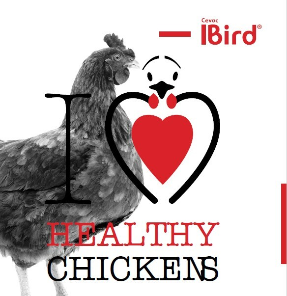 COVER_IBird_LEAFLET_LAYERS-BREEDERS_2023